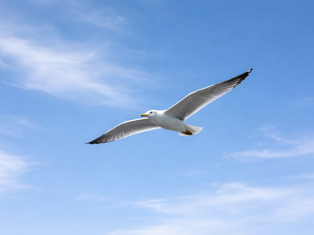 A bird glides across a blue sky with wings extended and steady over soft clouds.