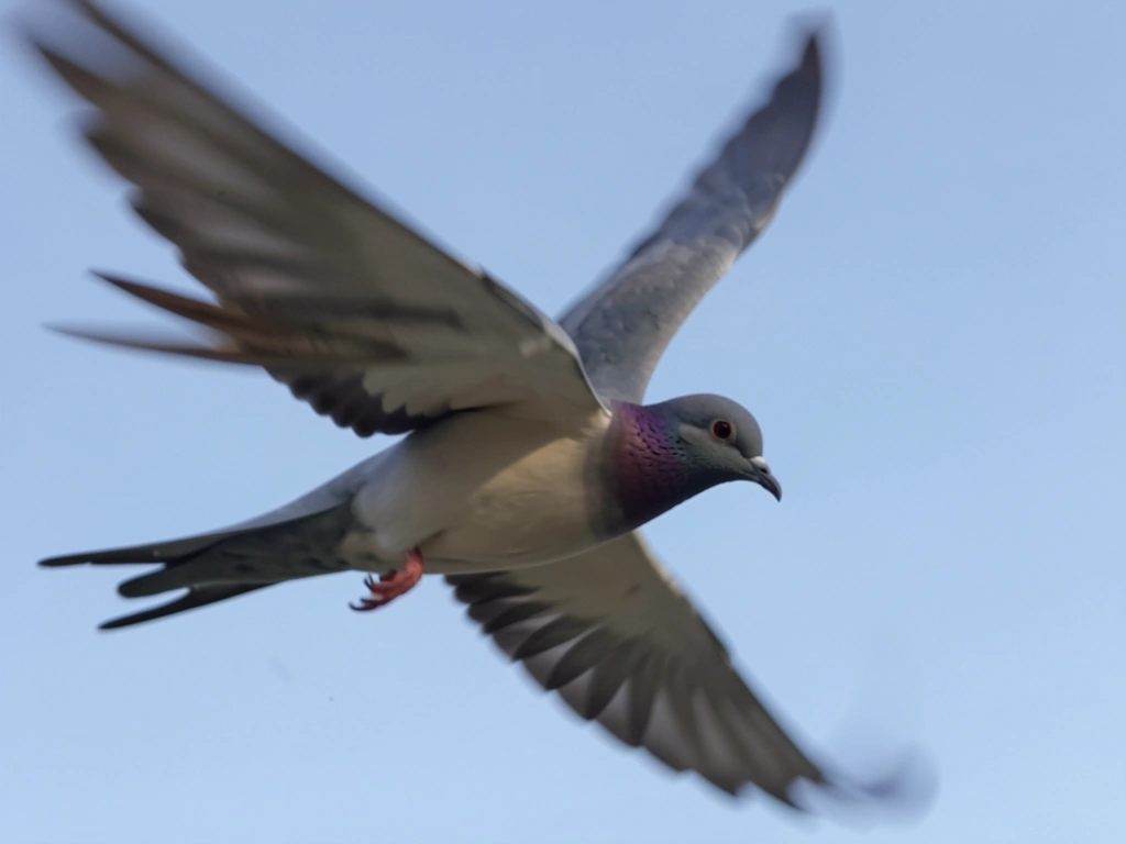 Feather close-up showing primaries and secondary wing surface curvature