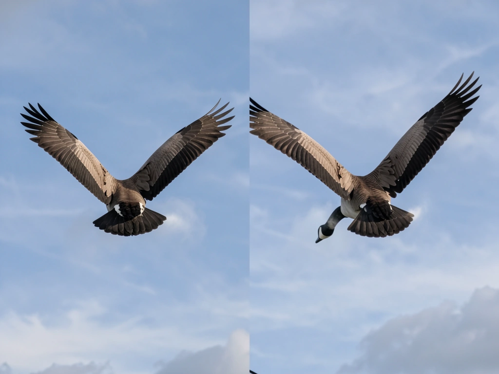 Primary wingtip acting like a propeller during the downstroke