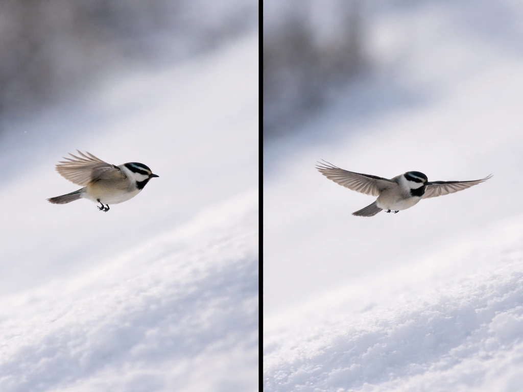 flying the bird meaning