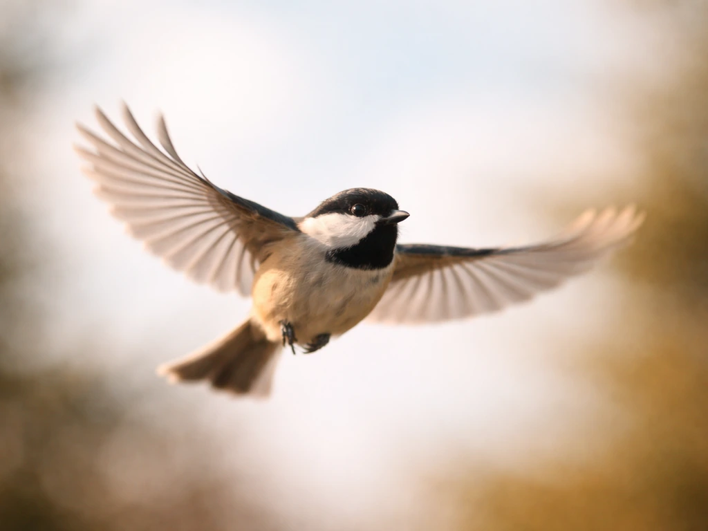 Slow Mo Bird Flying: Step by Step Guide to Capture Flight