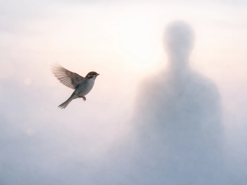 A bird swoops toward a soft silhouette in a calm, dreamlike misty sky.