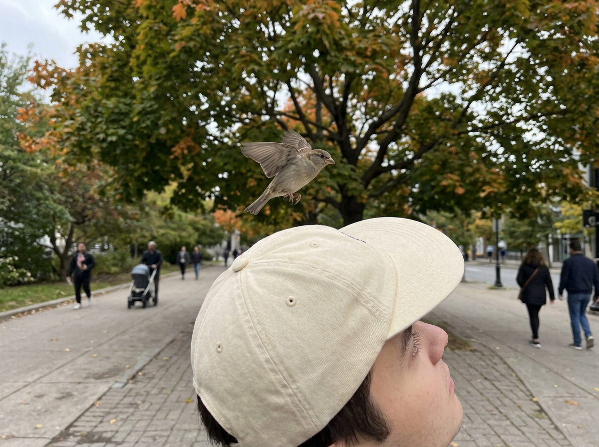 Bird Droppings on Head Meaning: What It Really Means