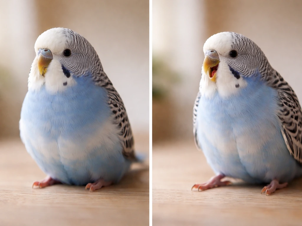 Close side view of a small pet bird showing calm breathing versus visible breathing effort.