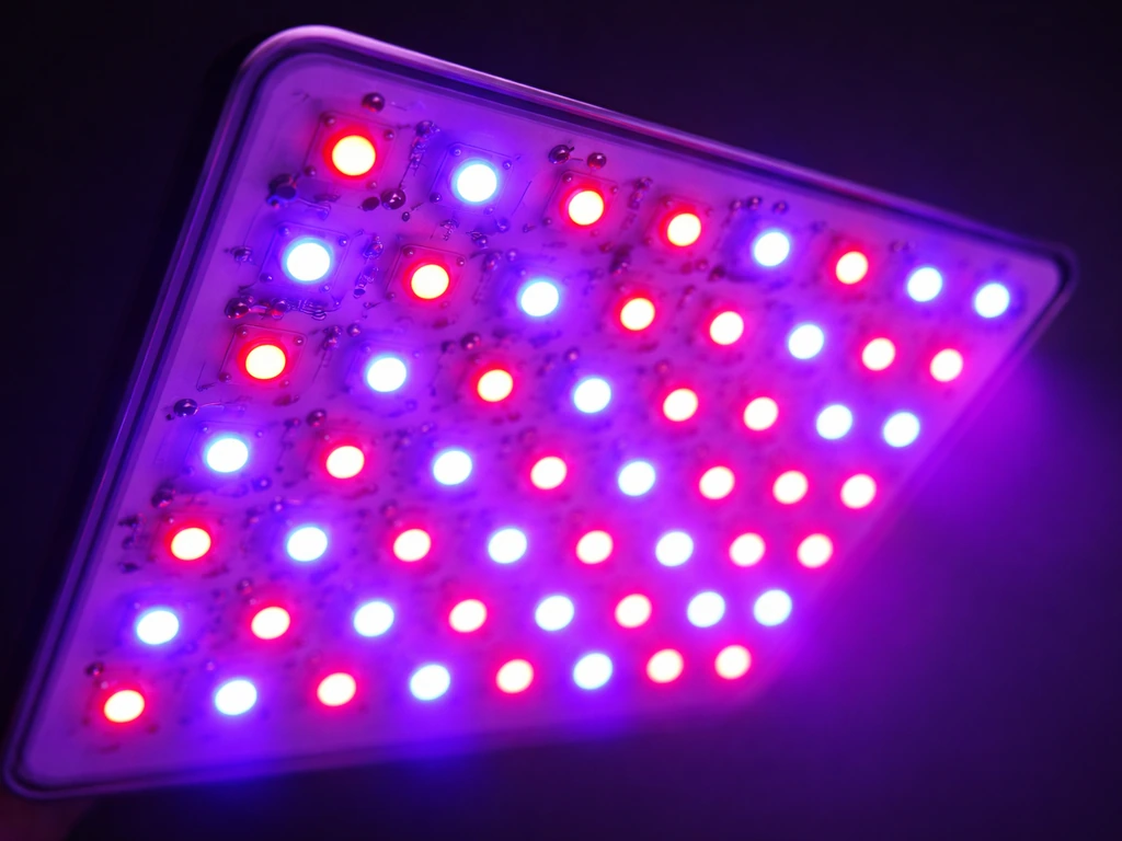 Close-up of a blurple LED grow panel with visible red and blue chips glowing purple.