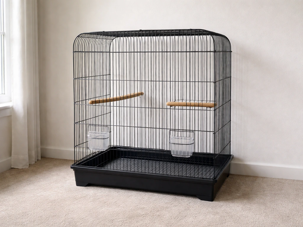 Eye-level bird cage in a draft-free room with clearly spaced wooden perches for safe training access.