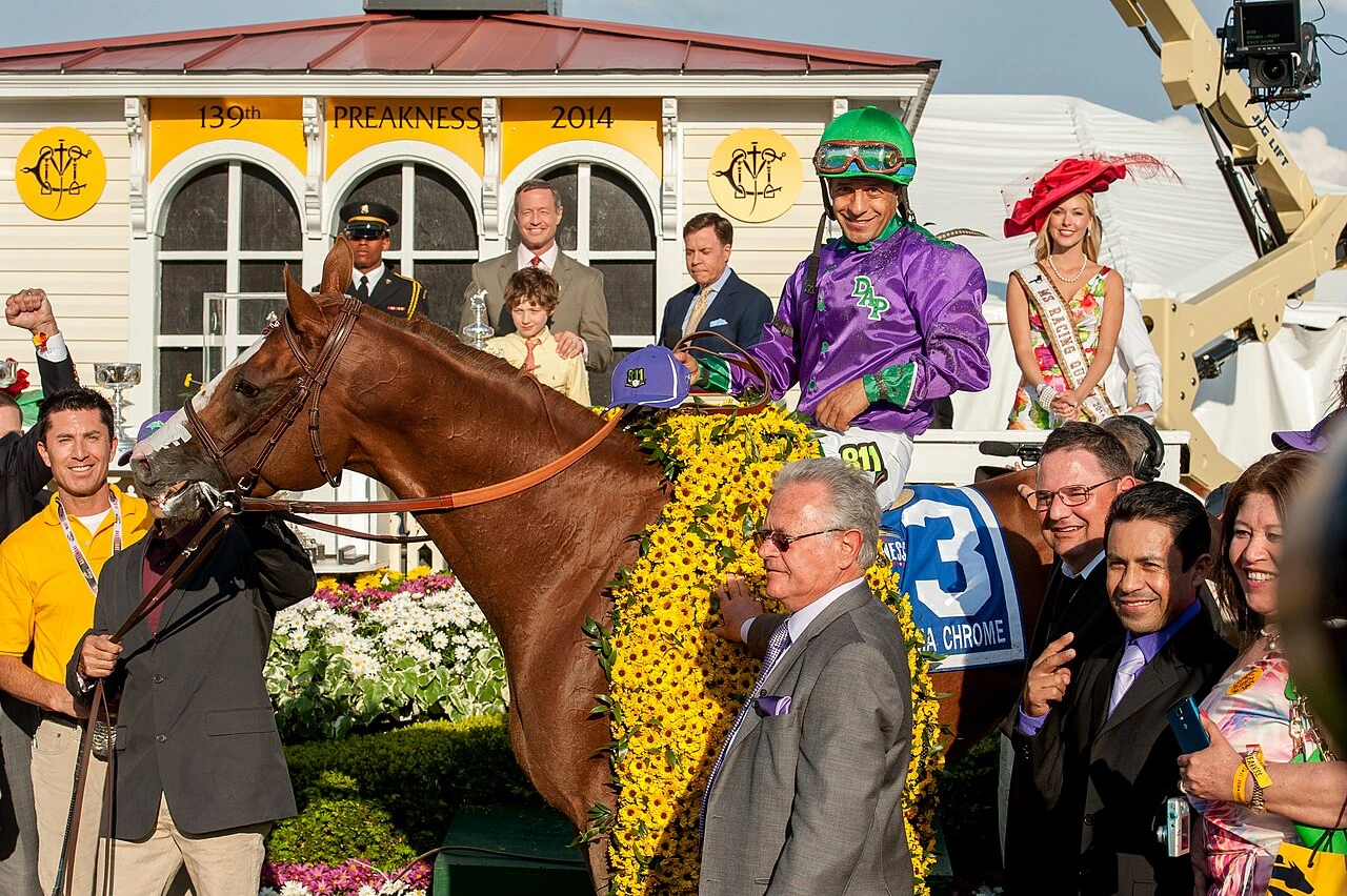 Victor Espinoza on California Chrome after the 2014 Preakness Stakes victory