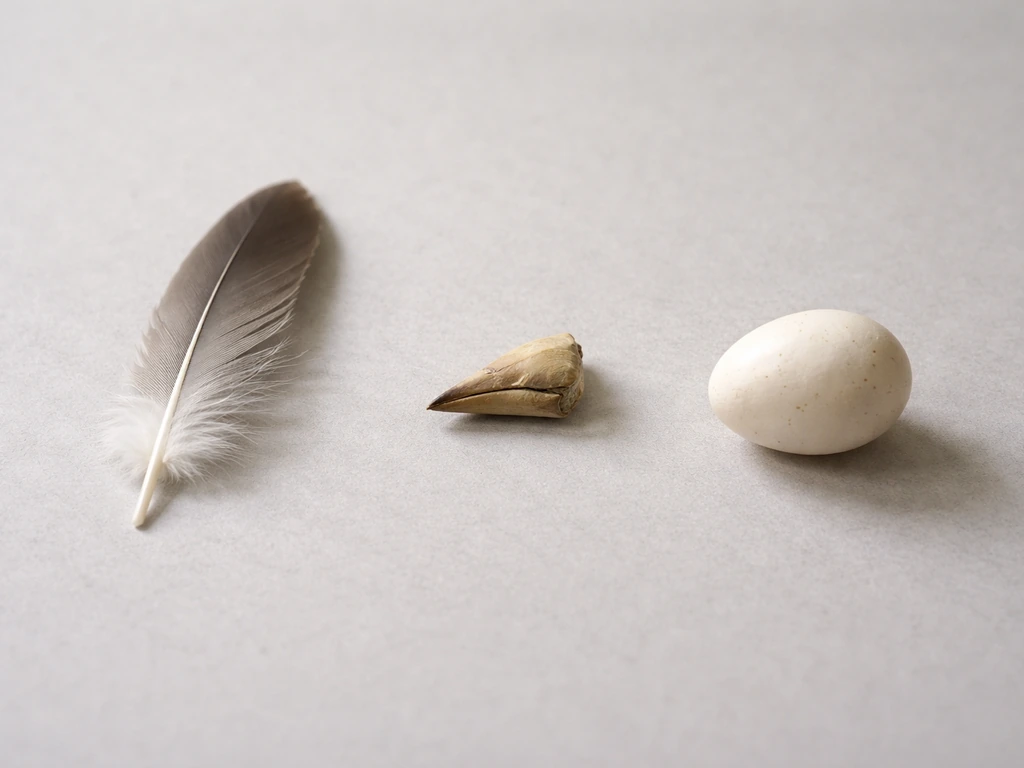 Feather, small bird beak, and a single egg on a neutral tabletop for a bird-check verification visual