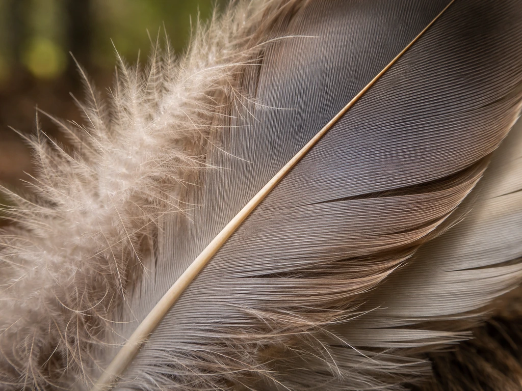 Close-up of detailed bird feathers with varied textures and soft natural lighting.