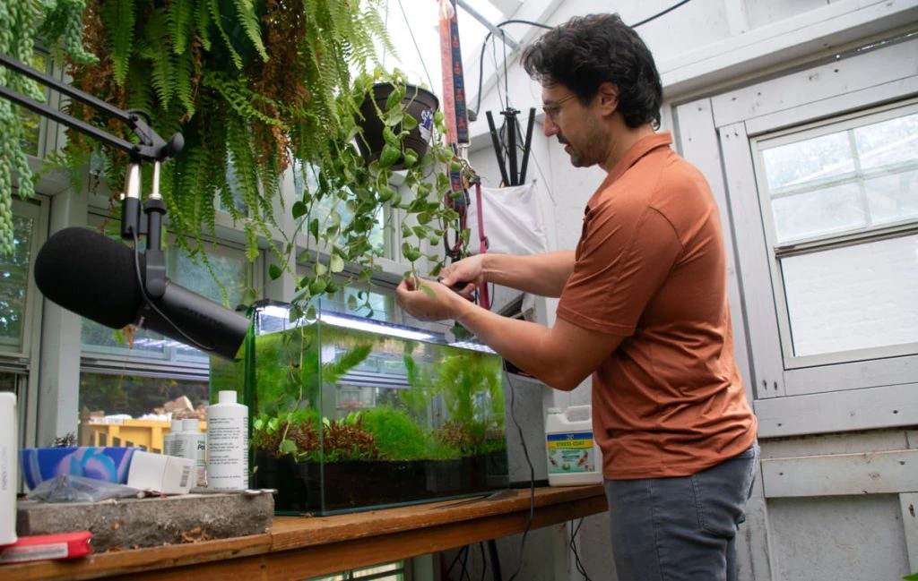 Adam Ragusea standing in a greenhouse beside an aquarium, tending plants