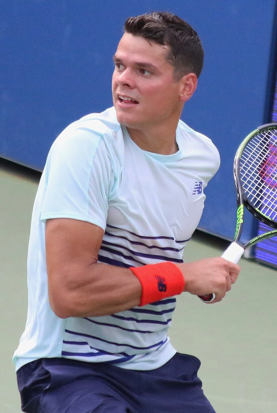 net worth of milos raonic
