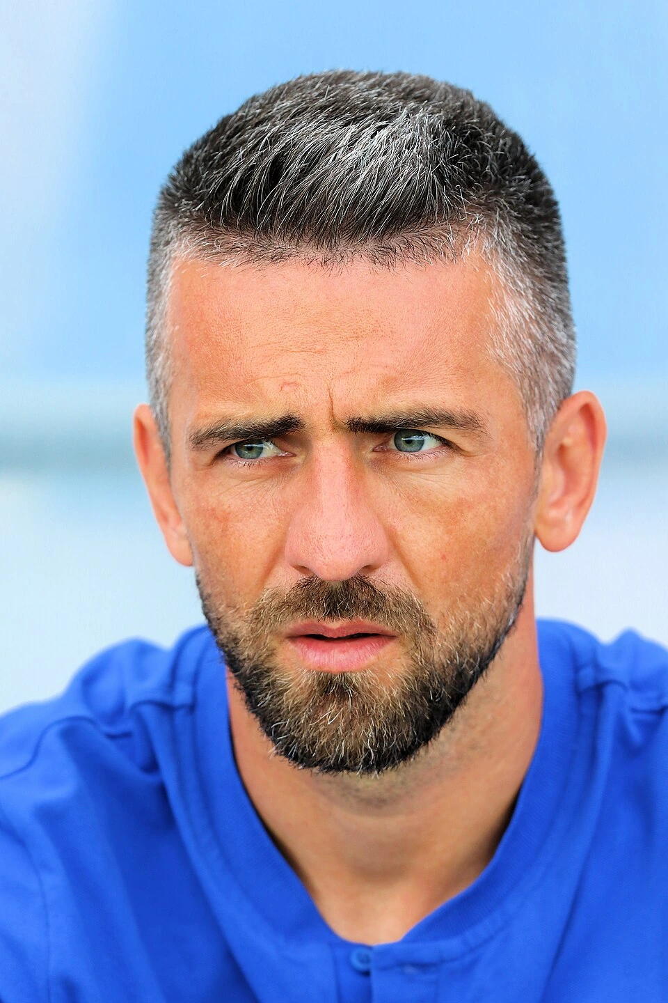 Vedad Ibišević in a close-up portrait wearing a blue shirt