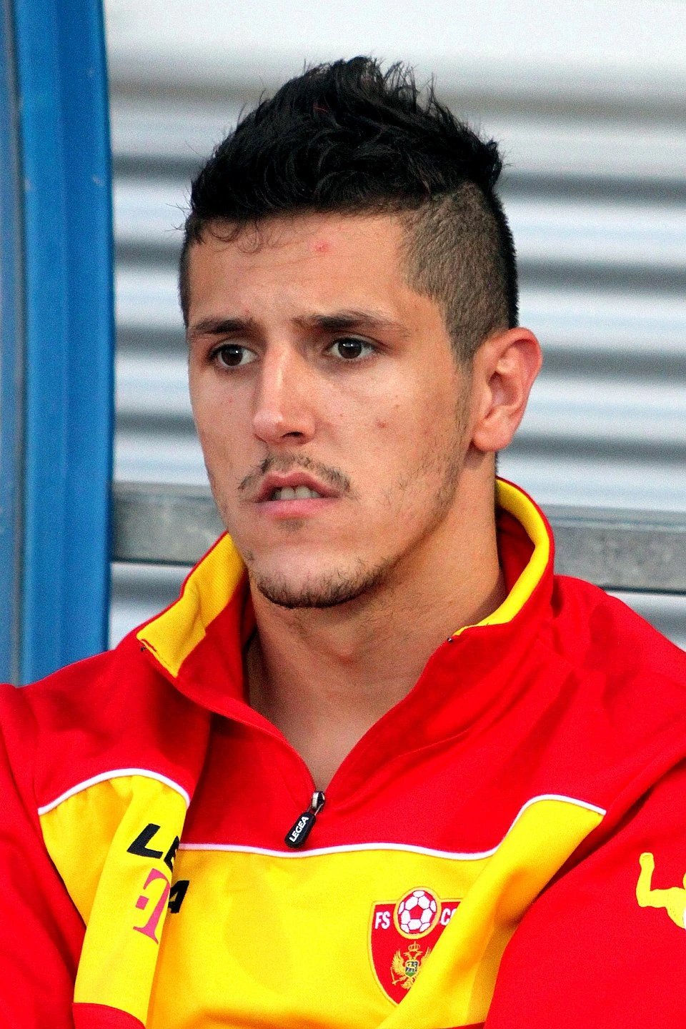 Photo of Stevan Jovetić