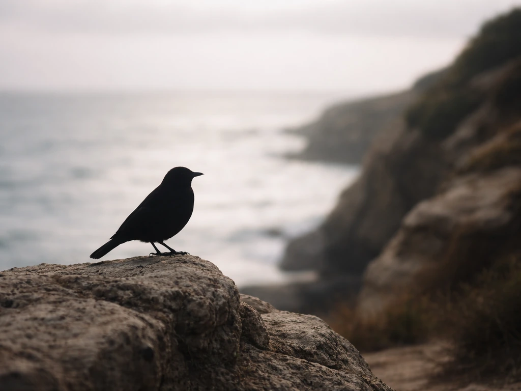 Dark bird silhouette perched against a rocky coastline at dusk, suggesting a possible species and habitat