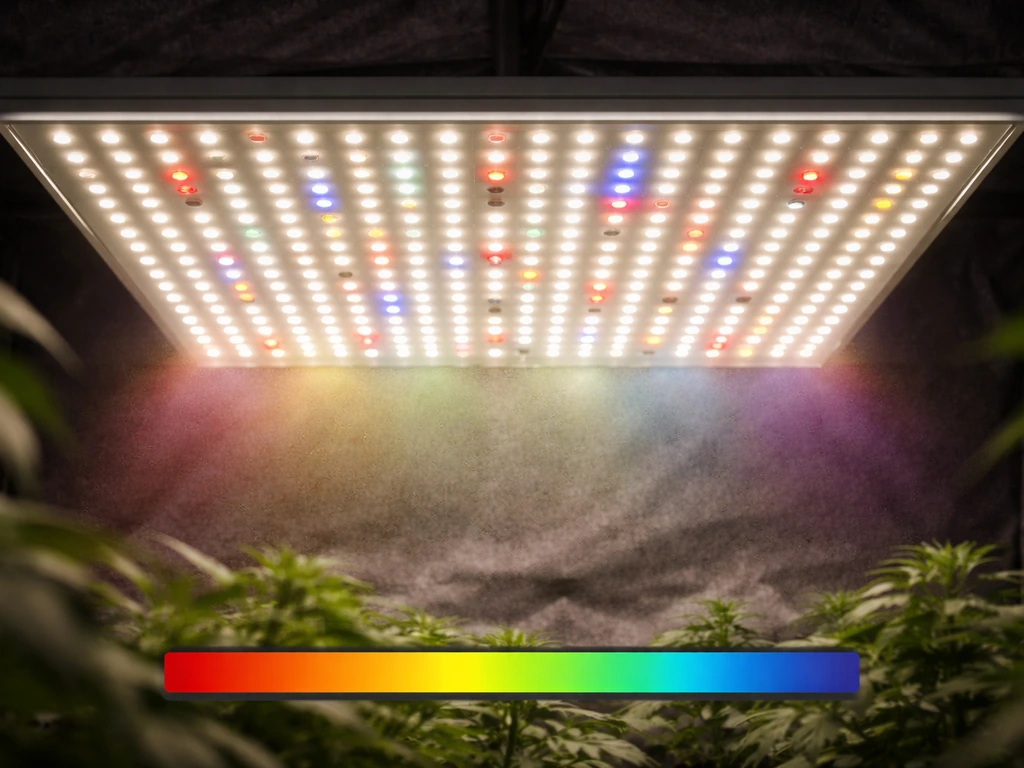 Close-up of LED grow light diodes emitting a soft spectrum glow in a simple grow setup.