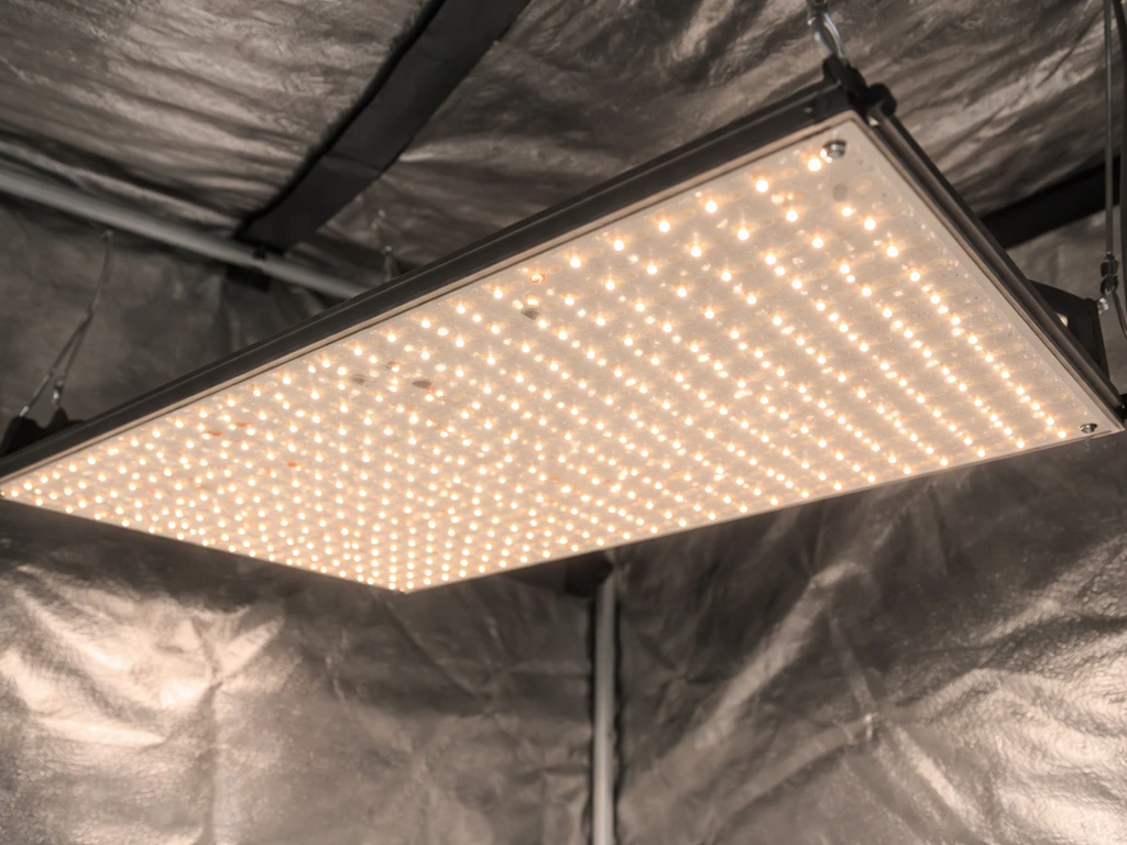 Close-up of a quantum board LED fixture inside a grow tent reflector, flat LED layout with visible geometry