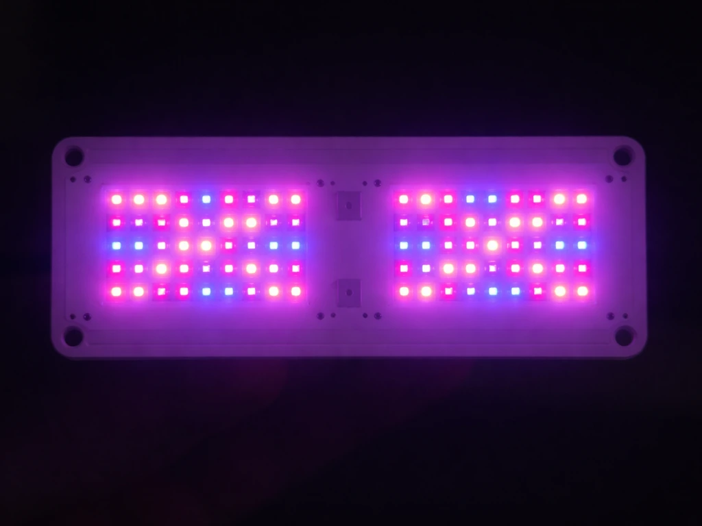 Close-up of red and blue SMD LED arrays on a PCB emitting a purple-pink glow.