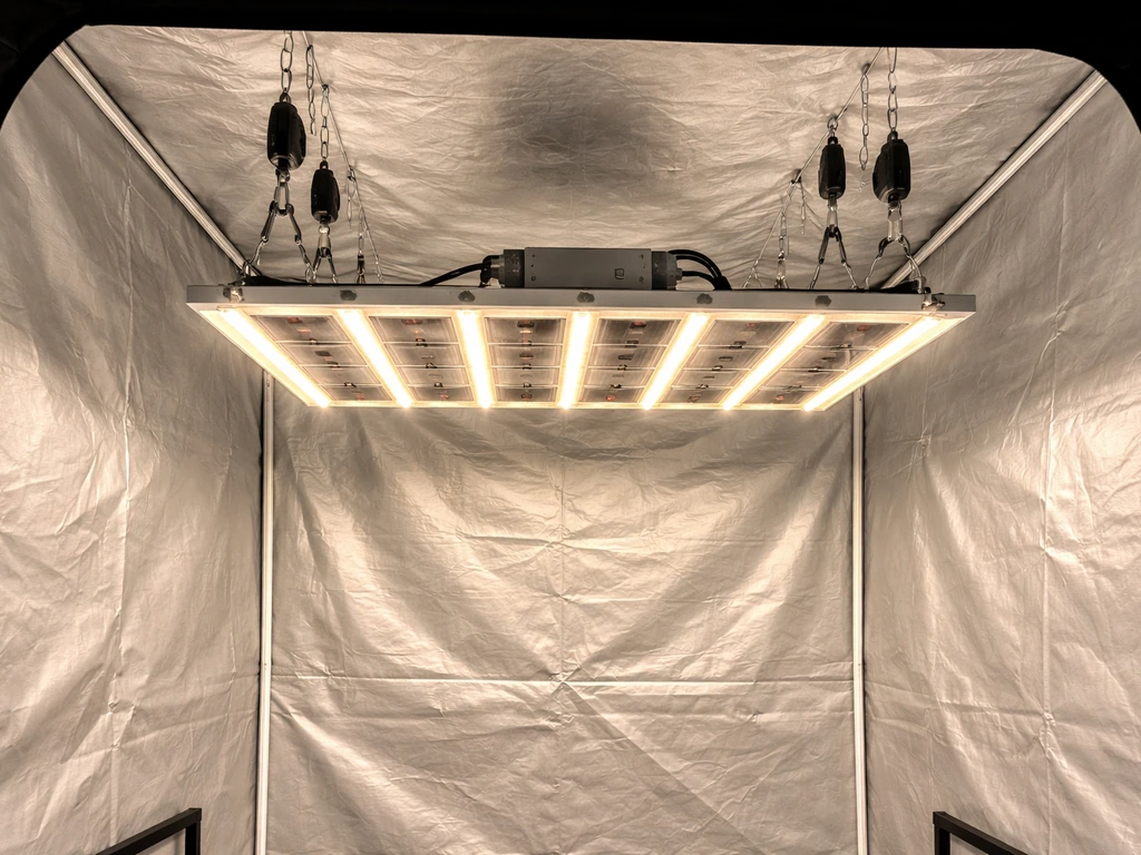 1500W LED grow light hung above a simple grow tent with visible hanging cables and height adjustment.