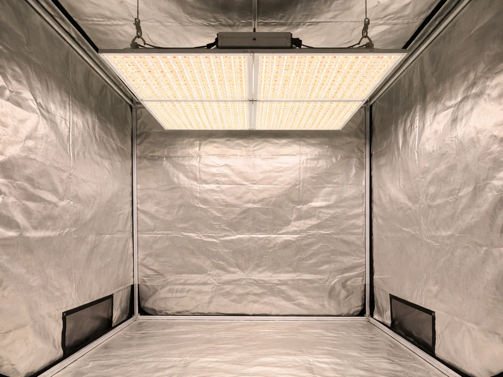Indoor grow tent with single 1000W LED over a 5x5 area, showing corner underlighting vs better spread.