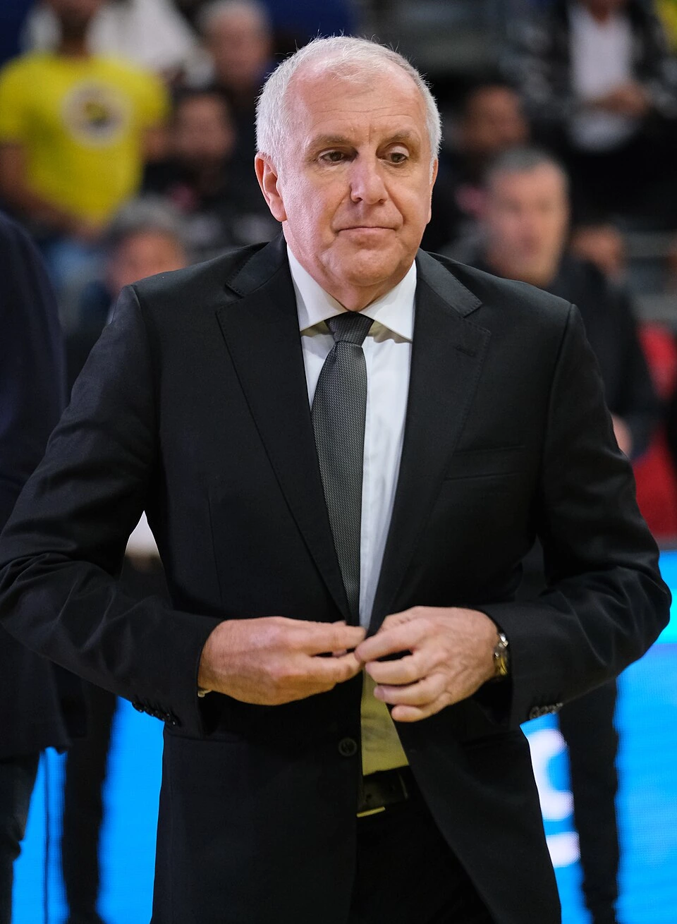 Photo of Željko Obradović Serbian basketball coach