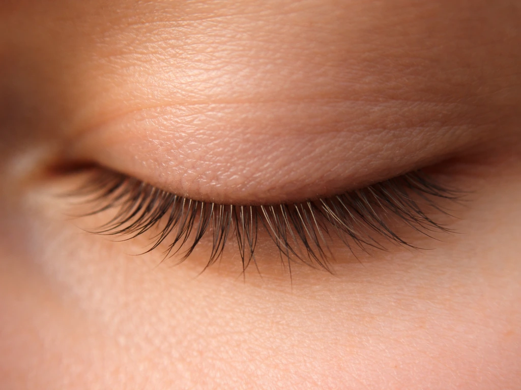 Close-up of an eyelash line with a few lashes subtly highlighted, suggesting different growth phases.