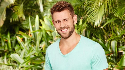 nick.viall net worth