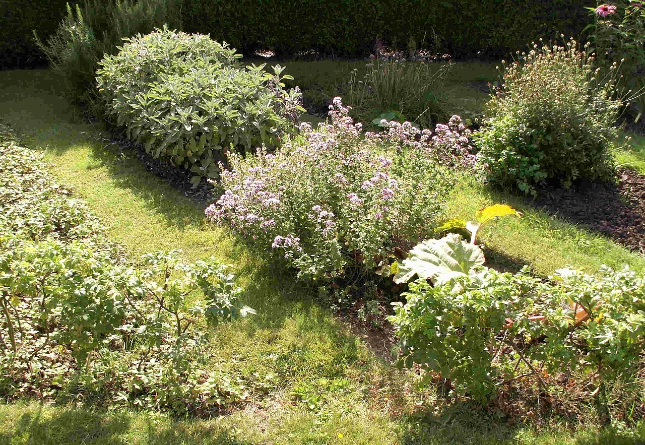 Retourn­er l’herbe pour potager : guide pas à pas en France