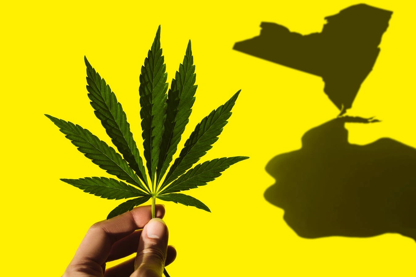 Forbes article image related to Green Thumb Industries and Ben Kovler
