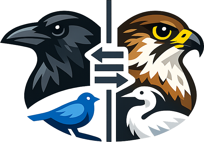 Bird Comparisons And Differences Guide