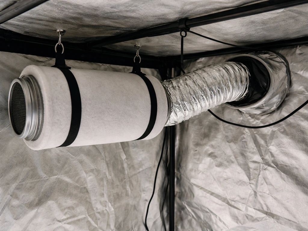 Carbon filter hanging near the top of a grow tent with exhaust duct routed toward the exhaust port
