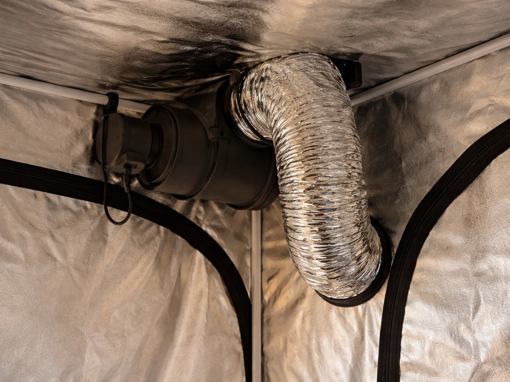 Inline fan and ducting pulling hot air out of the top of a grow tent