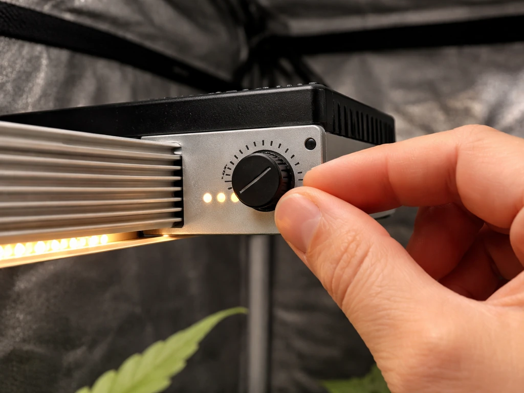 Close-up of a grow light dimmer knob being adjusted on an indoor grow shelf