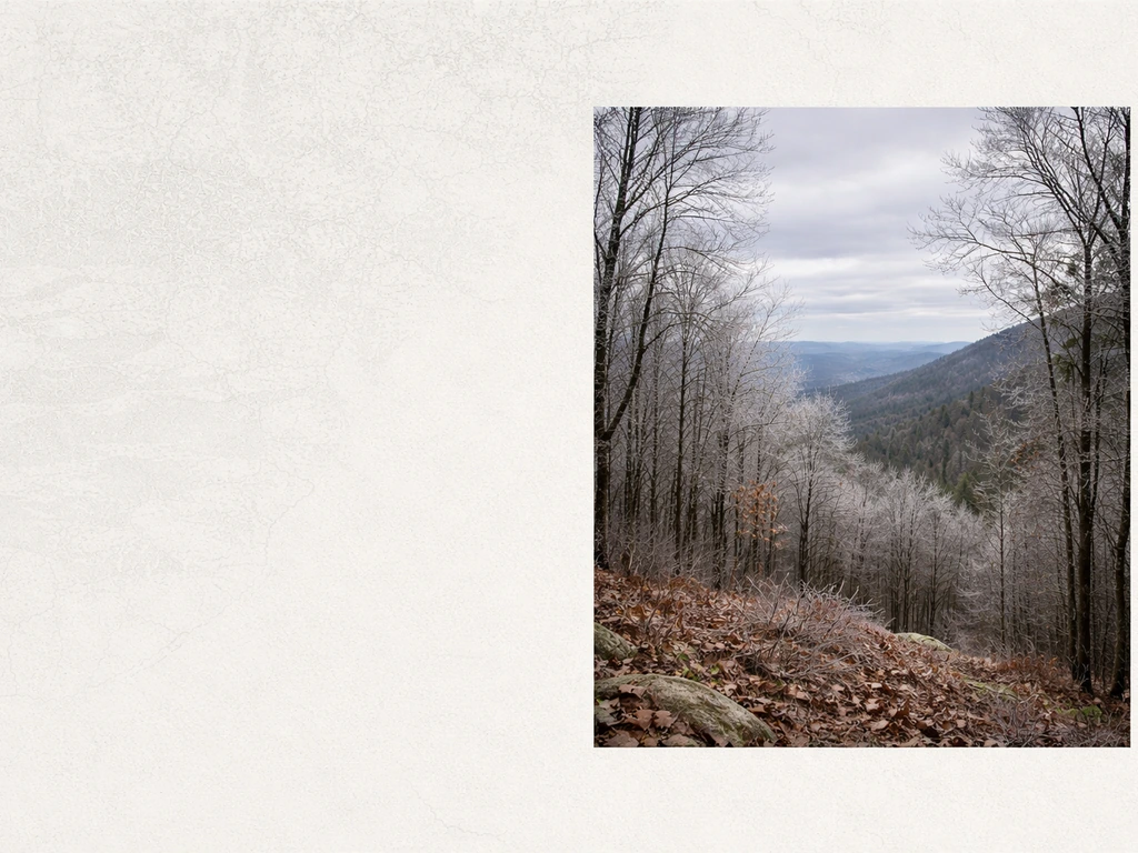 Inset photo of Ozark winter hillside with patchy frost on bare trees against a muted map-textured background.