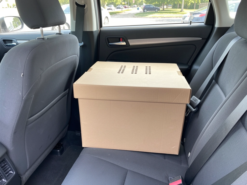 Closed ventilated box secured in a car for safe bird transport