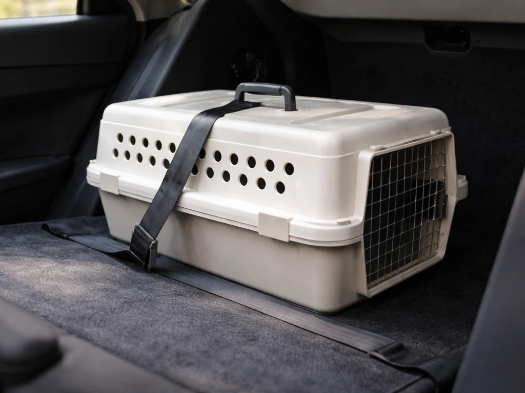 Ventilated pet bird transport box on a flat car seat, ready for safe travel.