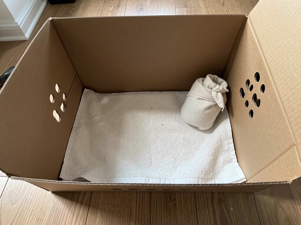 Hot water bottle wrapped in cloth placed beside a contained bird