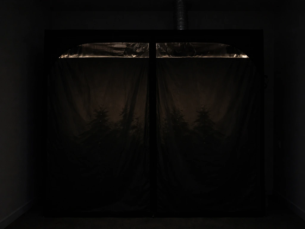 Grow tent with blackout curtain closed and grow lights off, plants barely visible in darkness.