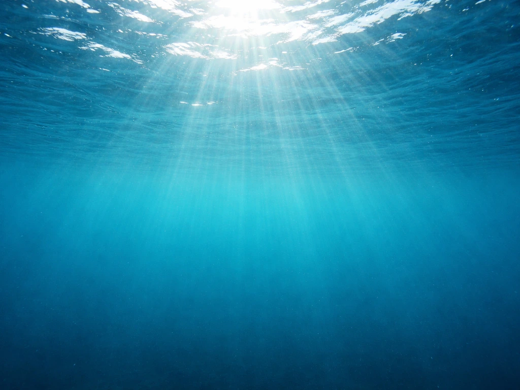 Sunlight beams fade with depth in clear ocean water, brighter near the surface and dimmer below.