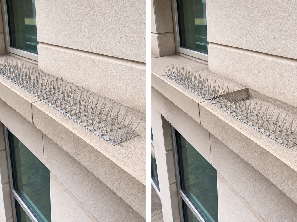 Split view photo showing evenly installed roof spikes on a ledge vs an incorrect installation leaving a gap