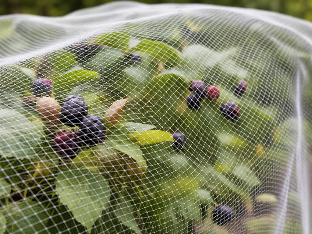 Fine-mesh netting over a berry bush fruit cage, with dark berries visible through the mesh.