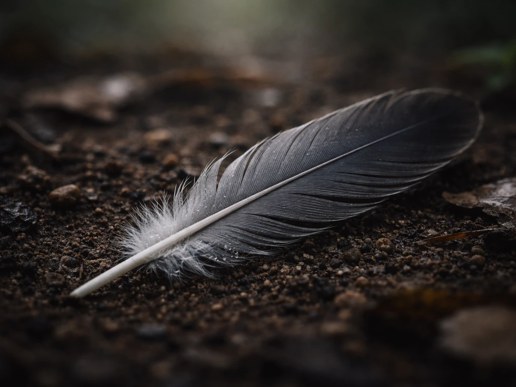 Single grey bird feather resting on natural ground in soft moody light, suggesting grounding and transition