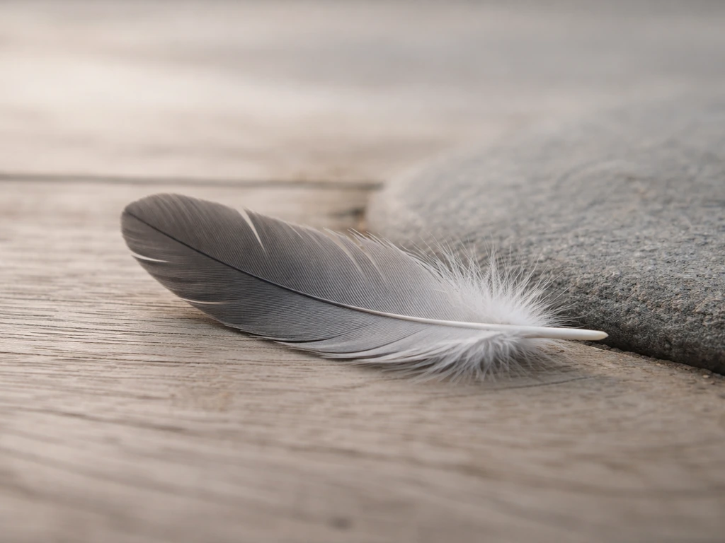 Close-up grey bird feather resting on natural wood and stone texture, suggesting neutrality and grounding.