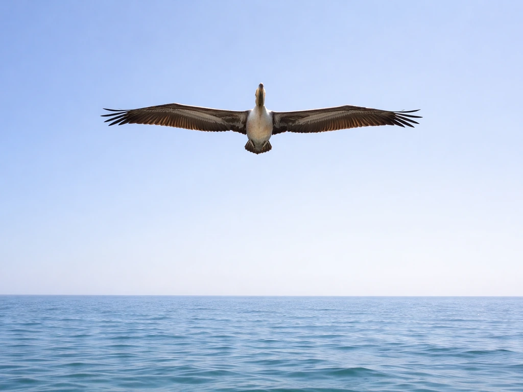 Pelican soaring overhead above a calm water surface under a clear blue sky