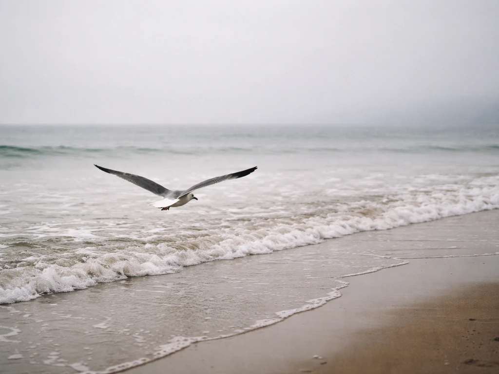 A seagull gliding over the beach where the ocean meets the shore, calm symbolic coastal scene.