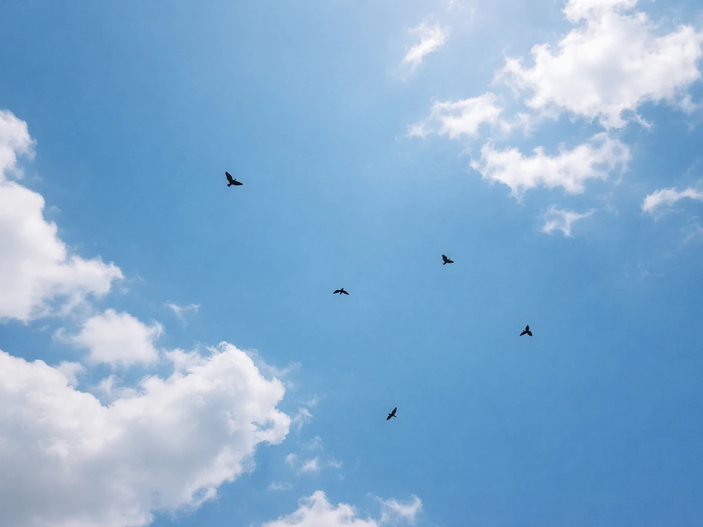 Birds flying in a bright sky, shot from below to evoke fate and luck symbolism across cultures.