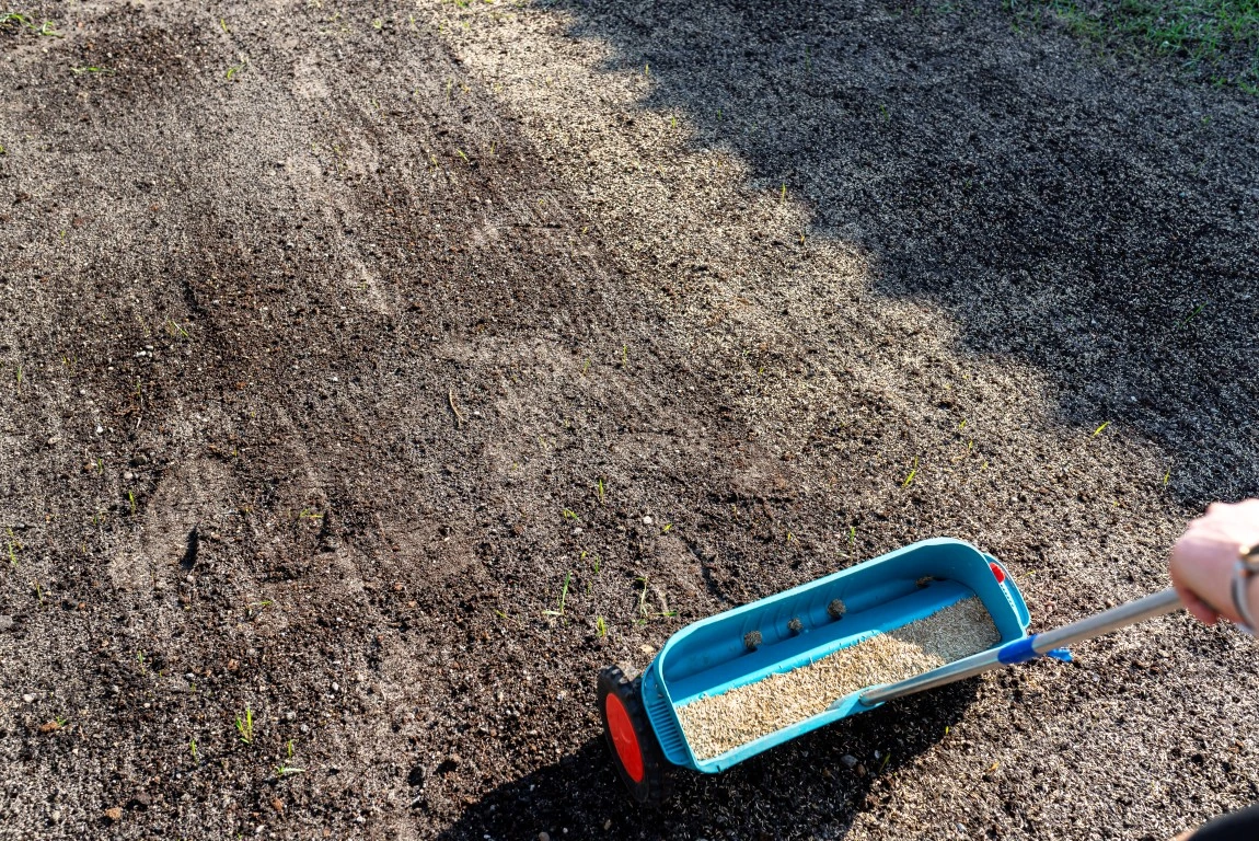 Een persoon zaait graszaad met een strooiwagen op een voorbereide bodem.