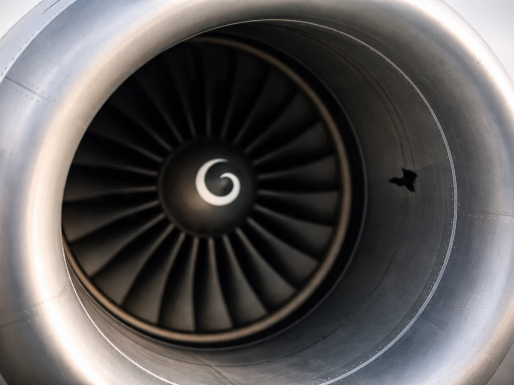 Close-up of a jet engine fan intake with a small bird silhouette scale reference, showing ingestion risk.
