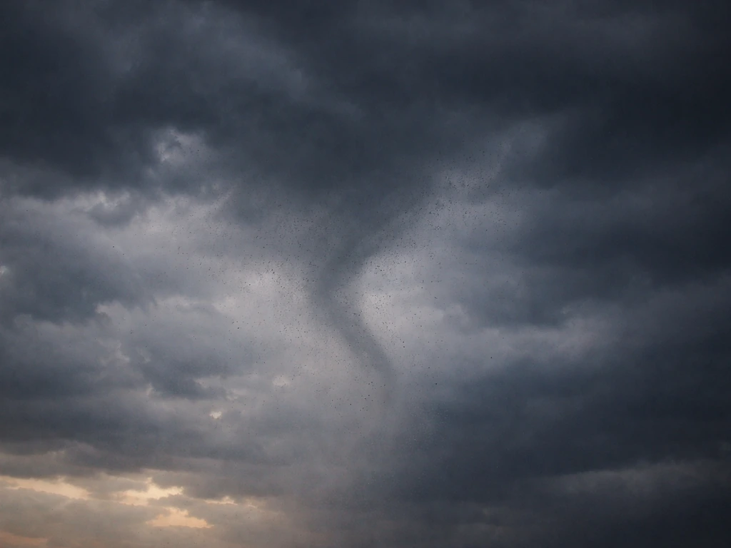 What Is a Bird Fart Tornado? Meaning, Risks, and Cleanup