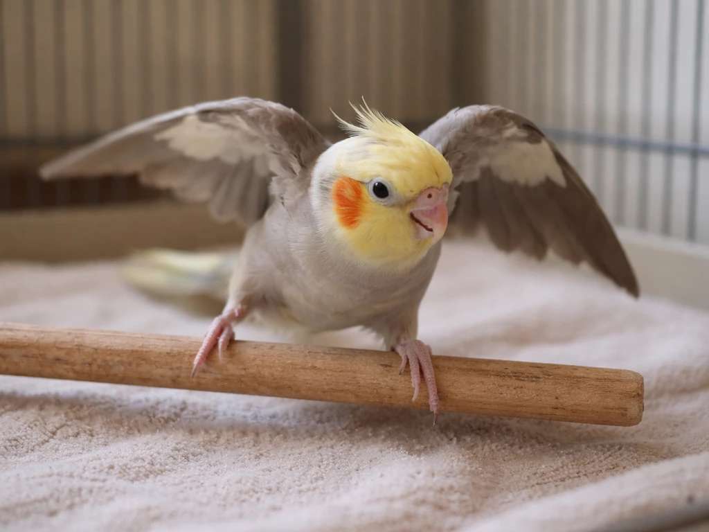 Small bird awkwardly clings to a low perch, slipping toward a towel-lined floor indoors.