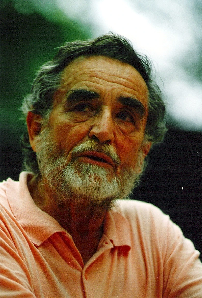 Portrait of Vittorio Gassman, Italian film and stage actor